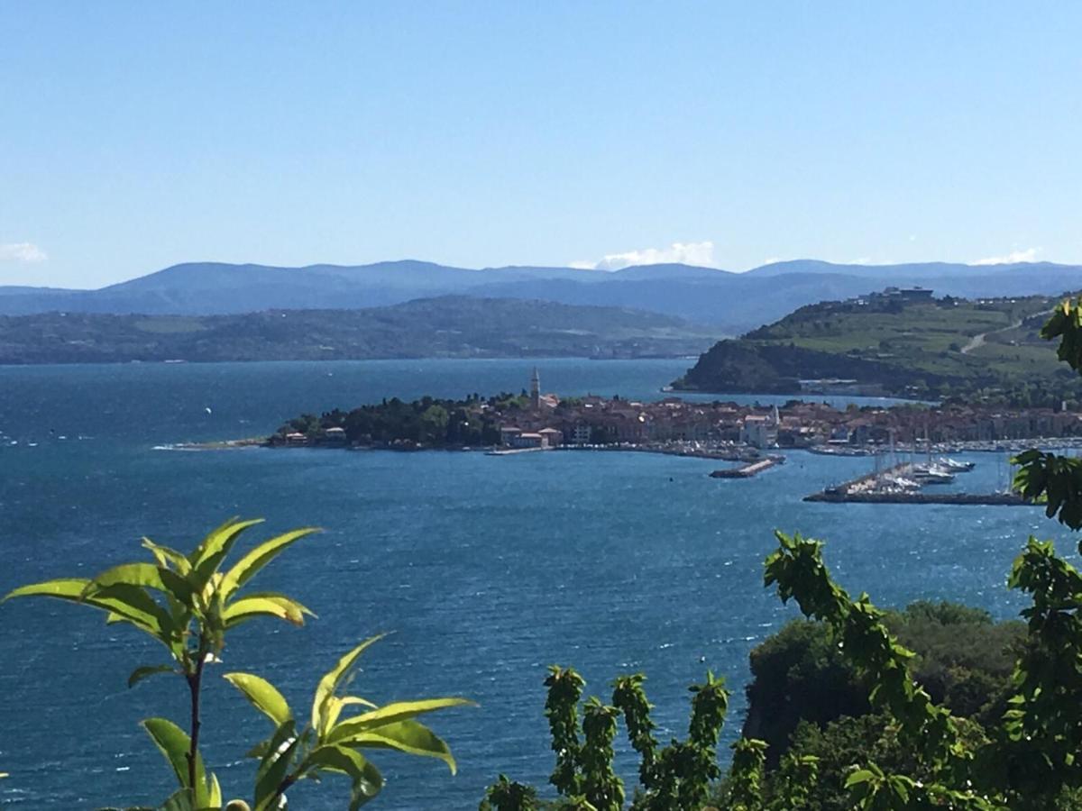 First Row To The Sea - Maremi Izola Apartment Terrace ภายนอก รูปภาพ