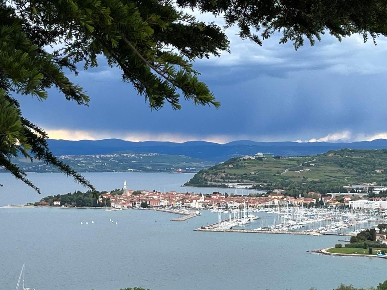 First Row To The Sea - Maremi Izola Apartment Terrace ภายนอก รูปภาพ